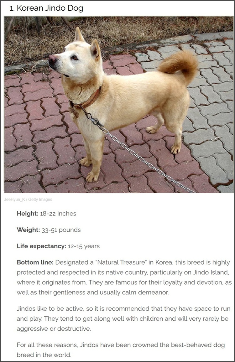 jindo.jpg